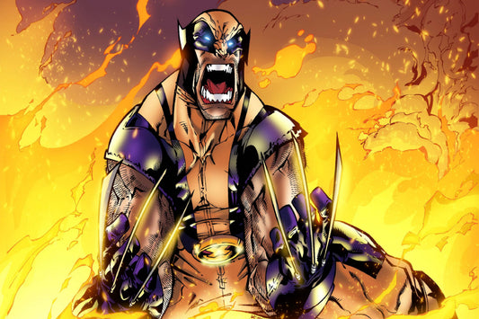Wolverine Marvel Comics Comic Book Poster Print Wall Art