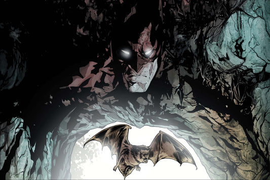 Batman Dc Comics Comic Book Poster Print Wall Art