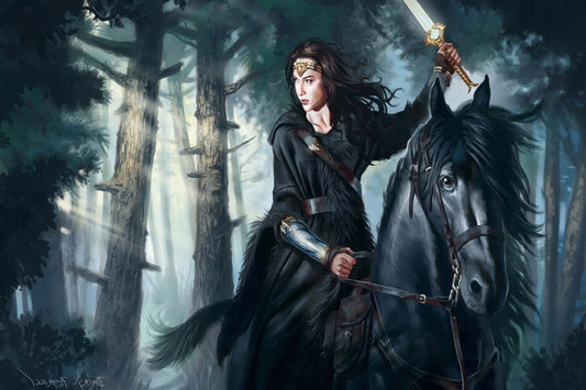 Wonder Woman Riding Horse Dc Comic Book Poster Print Wall Art