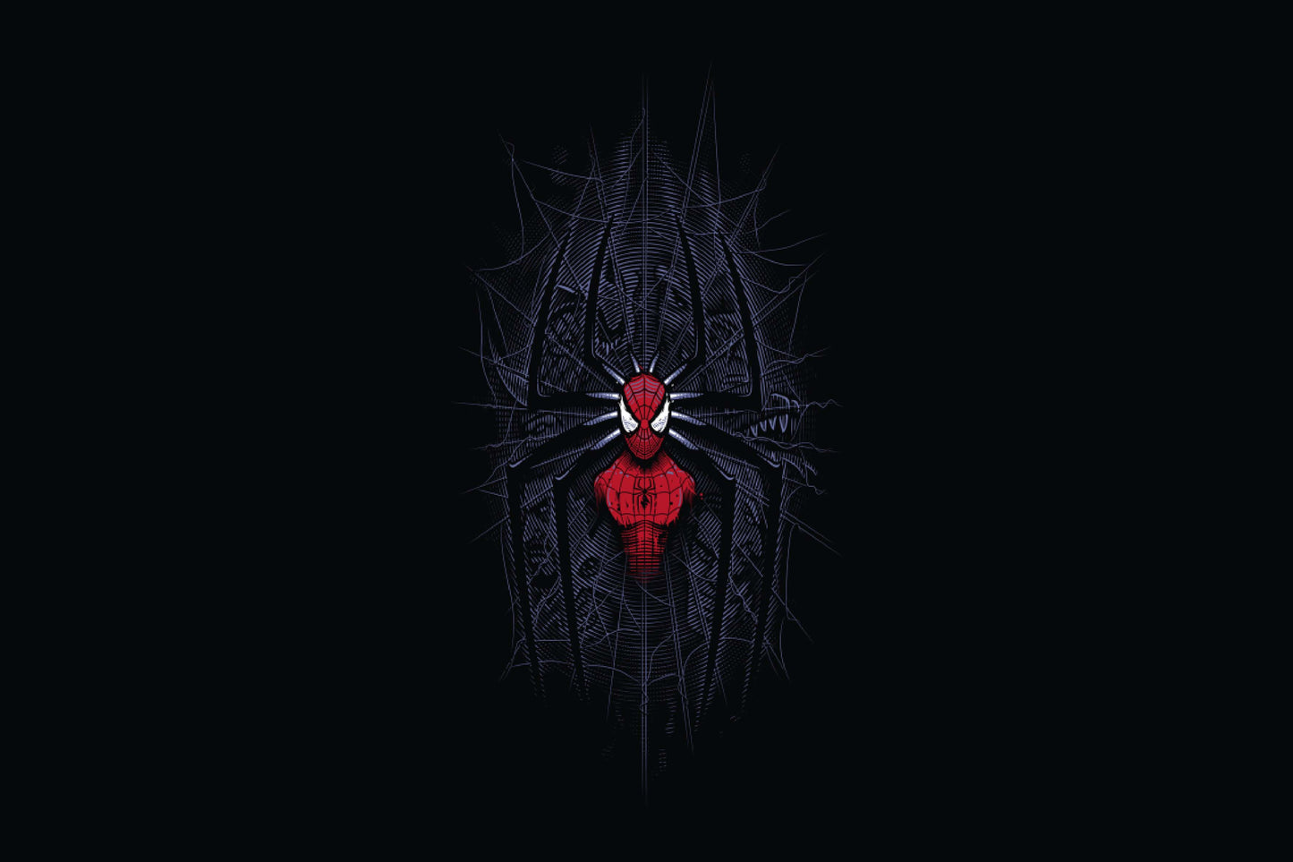 Spider Man Comic Book Poster Print Wall Art