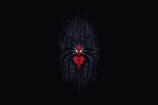 Spider Man Comic Book Poster Print Wall Art