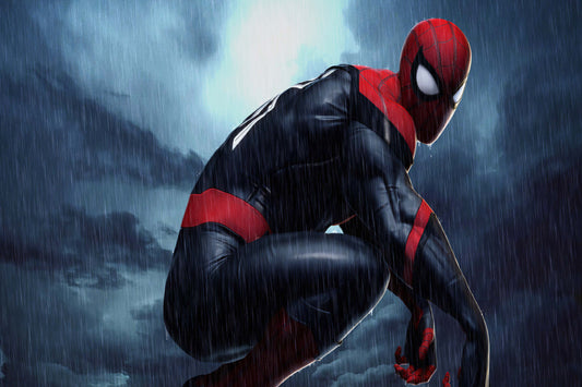 Spider Man Comic Book Poster Print Wall Art