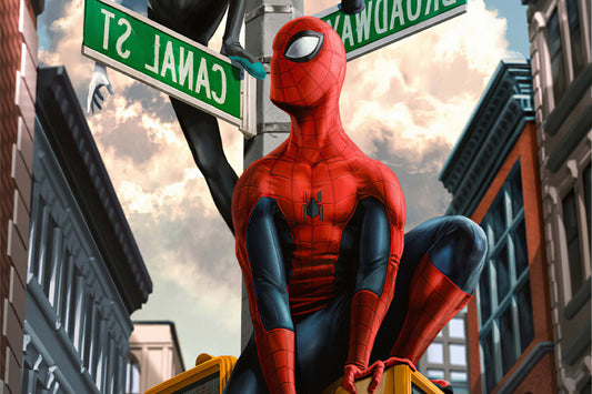 Spider Man Comic Book Poster Print Wall Art