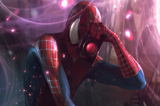 Spider Man Comic Book Poster Print Wall Art