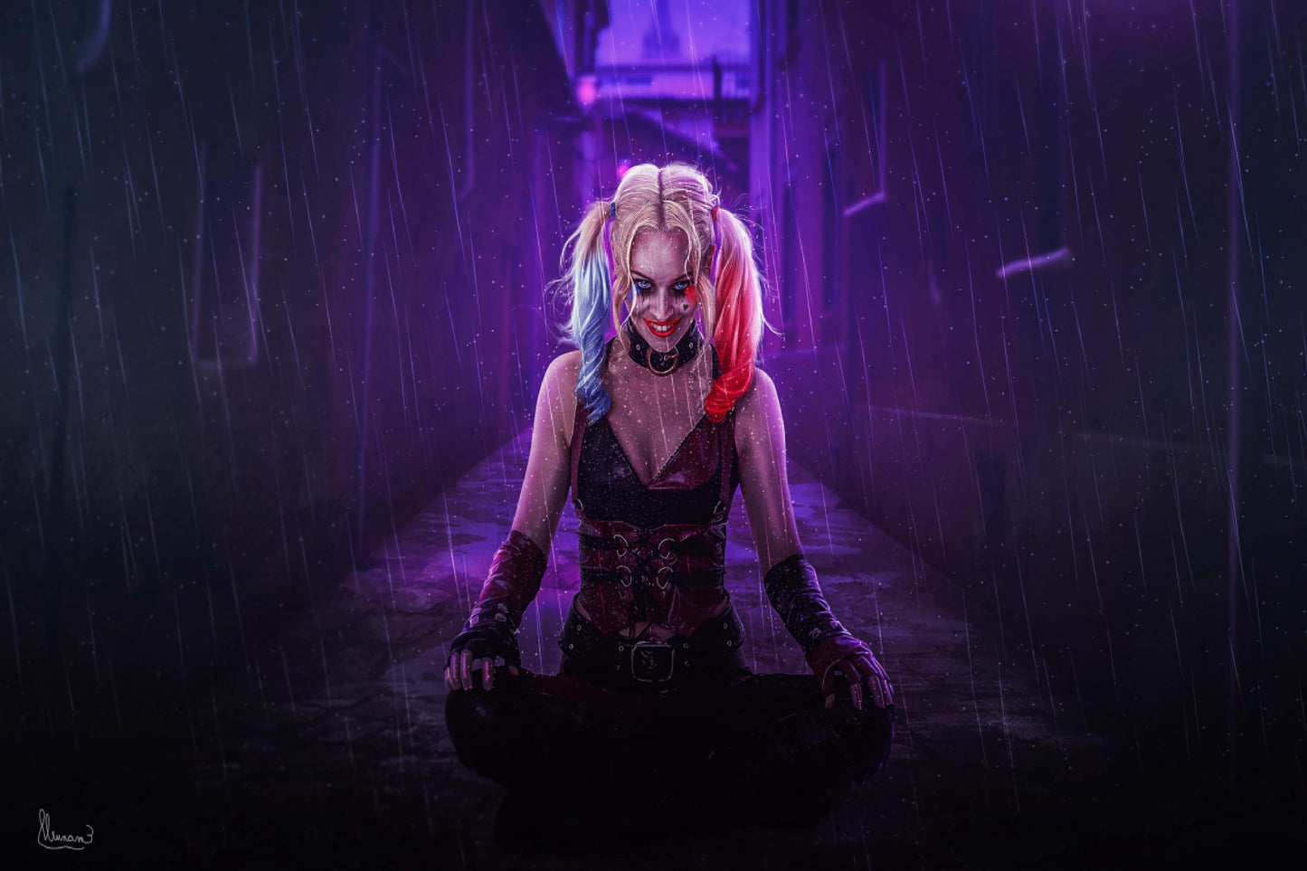 Harley Quinn Comic Book Poster Print Wall Art