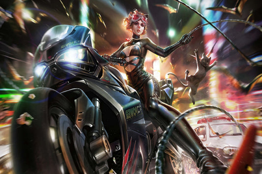 Catwoman Comic Book Poster Print Wall Art