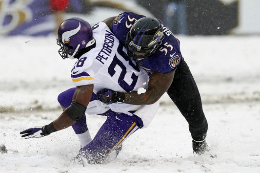 Adrian Peterson Terrell Suggs Magnet Minnesota Vikings Picture Nfl Football
