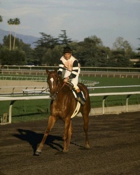 Affirmed Keychain Horse Racing Picture Steve Cauthen