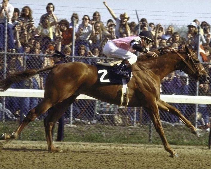 Affirmed Keychain Horse Racing Picture