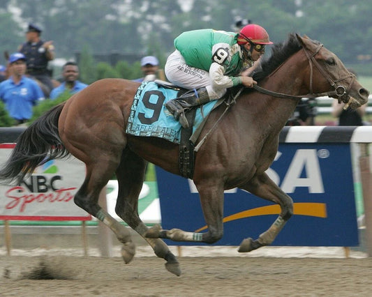 Afleet Alex Keychain Horse Racing Picture Race Action