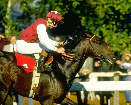 Ajdal Keychain Horse Racing Picture