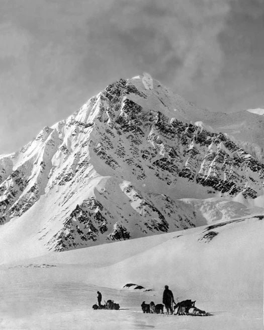 Alaska Mt Mckinley Glossy Magnet Dog Sledding Magnet Snow Mountain Print