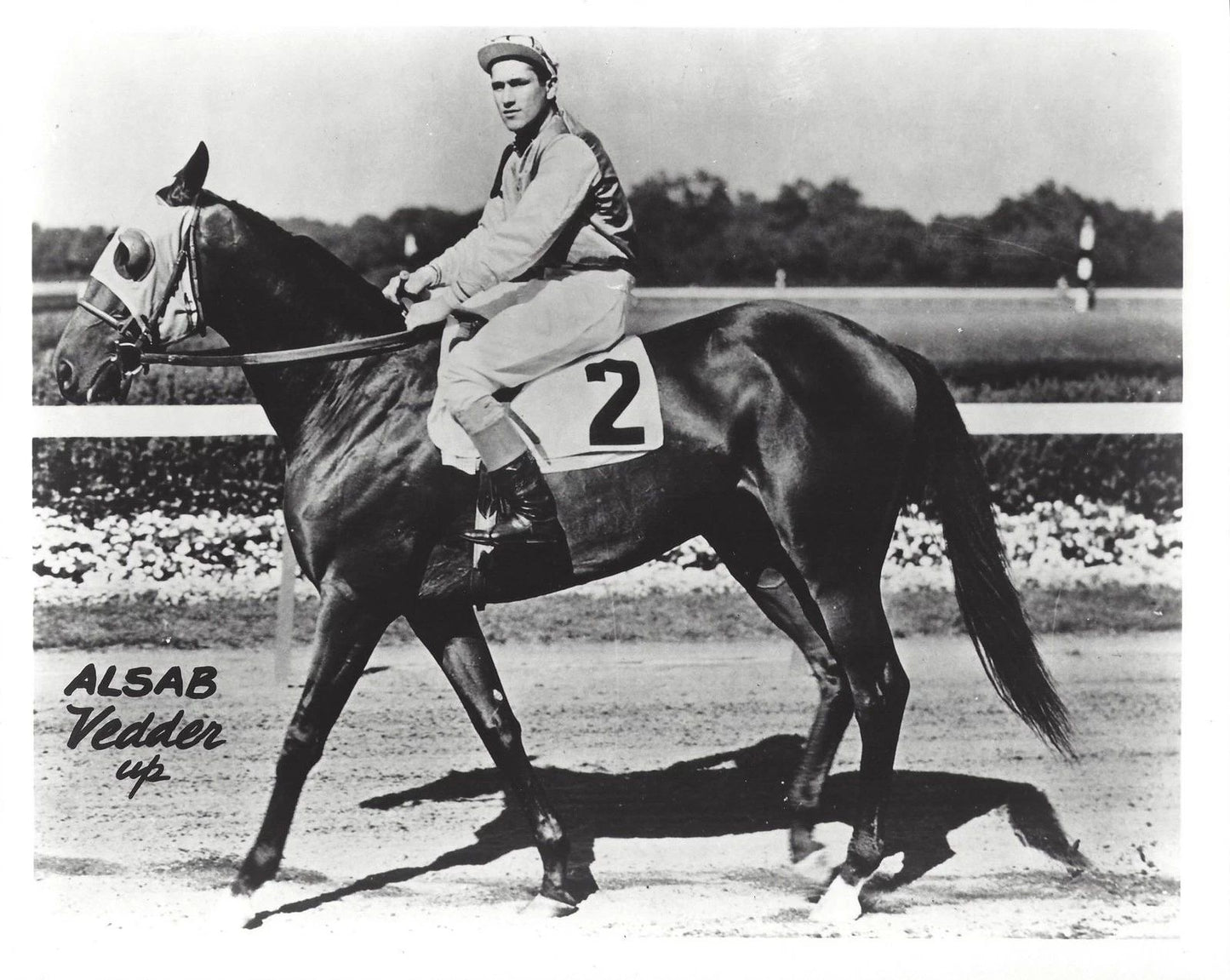 Alsab Magnet Horse Racing Picture Jockey Eddie Vedder