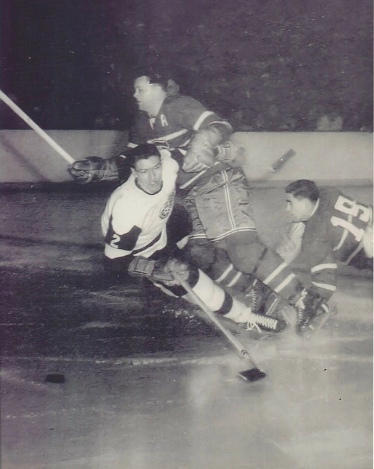 Al Arbour Photo Hockey Detroit Red Wings Hockey Nhl Picture Bw