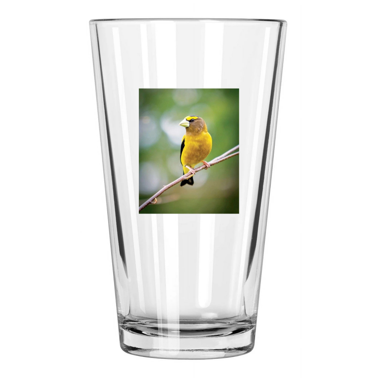 American Yelllow Finch Photo Bird Wildlife Pint Beer Drinking Glass