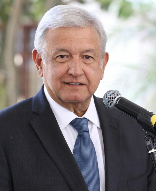Andres Manuel Lopez Obrador Mexico President Picture Poster Picture Photo Print