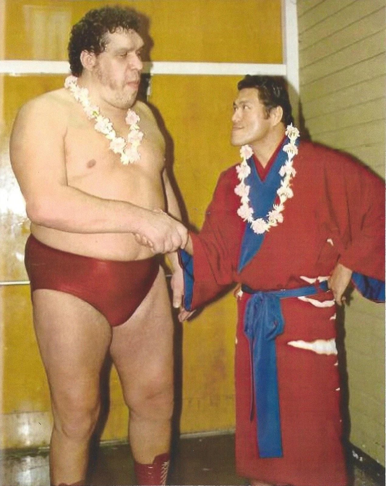 Andre The Giant & Antonio Inoki Magnet Wrestling Picture Wwf Color