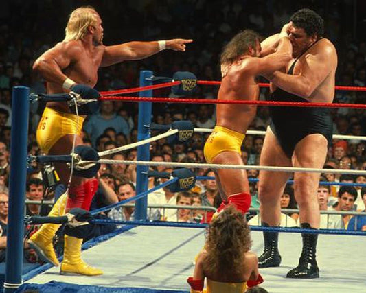 Andre The Giant V Hulk Hogan Macho Man Randy Savage Magnet Wrestling Picture
