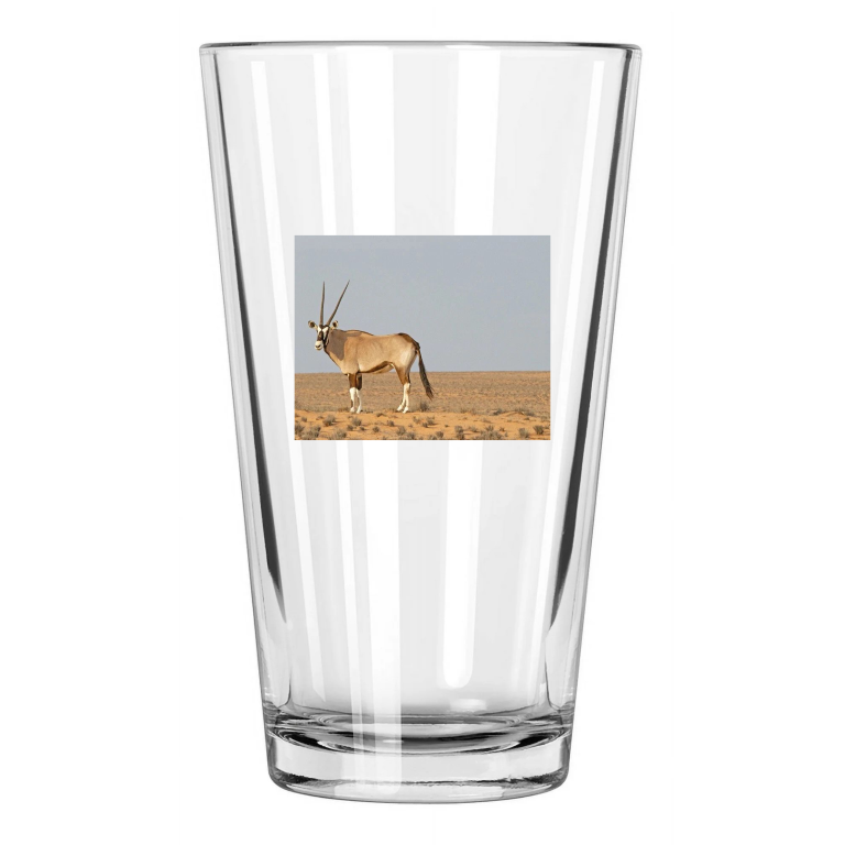 Antelope In The Desert Photo Animal Wall Art Nature Pint Beer Drinking Glass