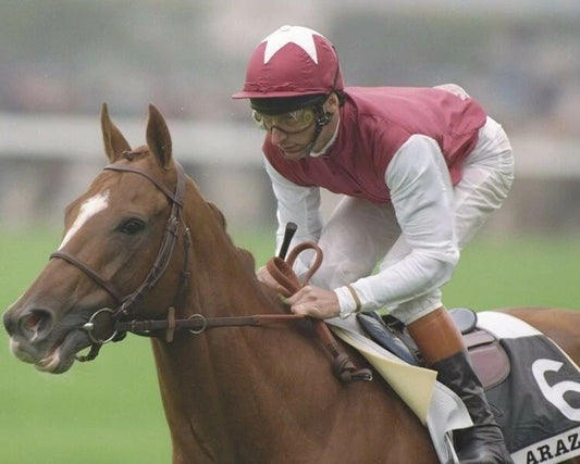 Arazi Magnet Horse Racing Picture Jockey Steve Cauthen