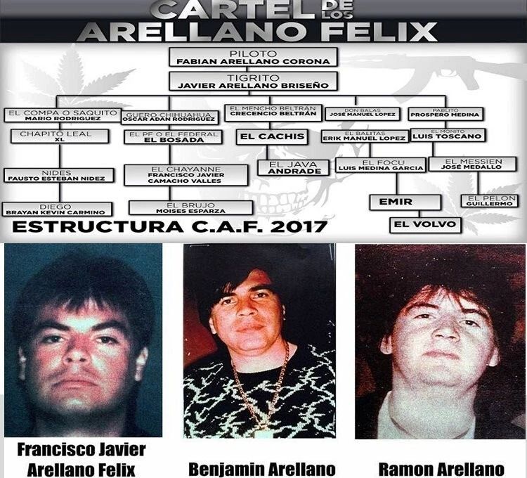 Arellano Felix Cartel Magnet Mexico Organized Crime Drug Cartel Picture