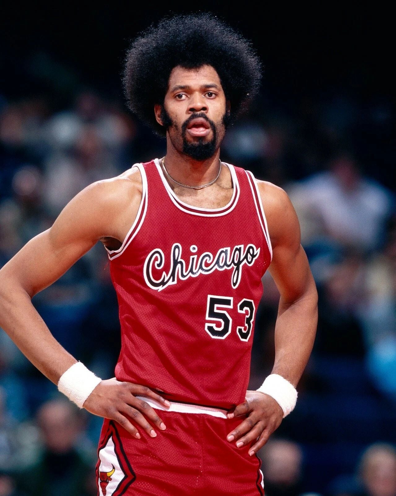Artis Gilmore Magnet Chicago Bulls Basketball Picture Nba