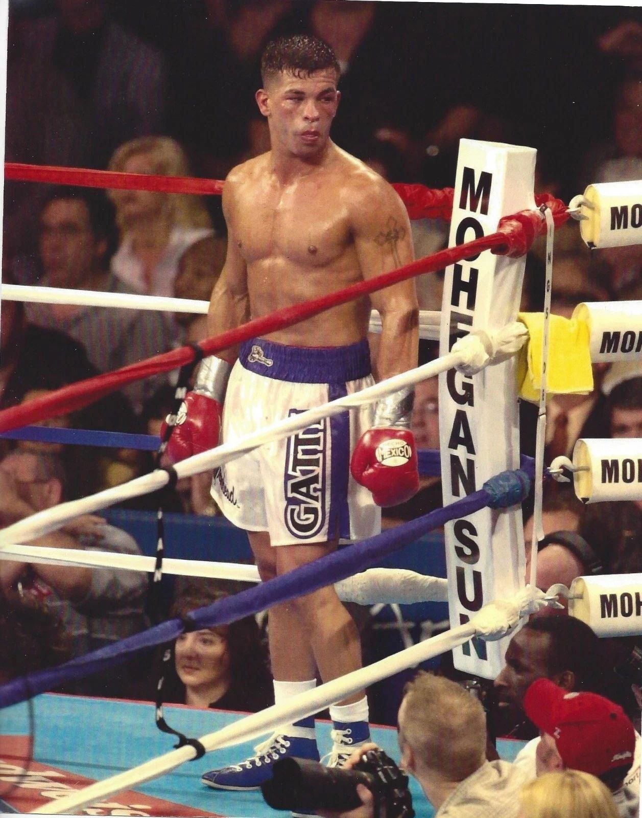 Arturo Gatti Magnet Boxing Picture In Corner