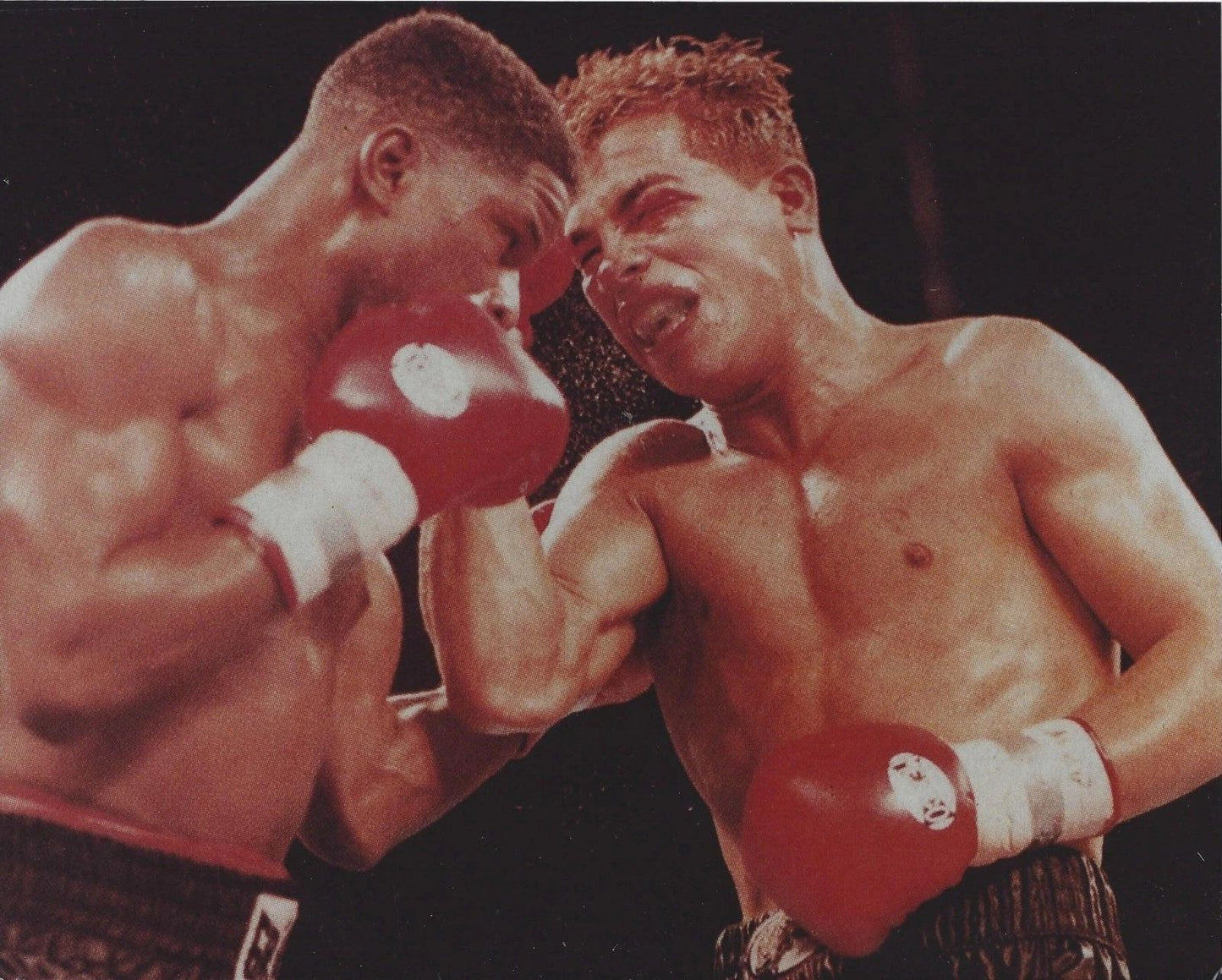 Arturo Gatti Vs Ivan Robinson Magnet Boxing Picture Right By Gatti