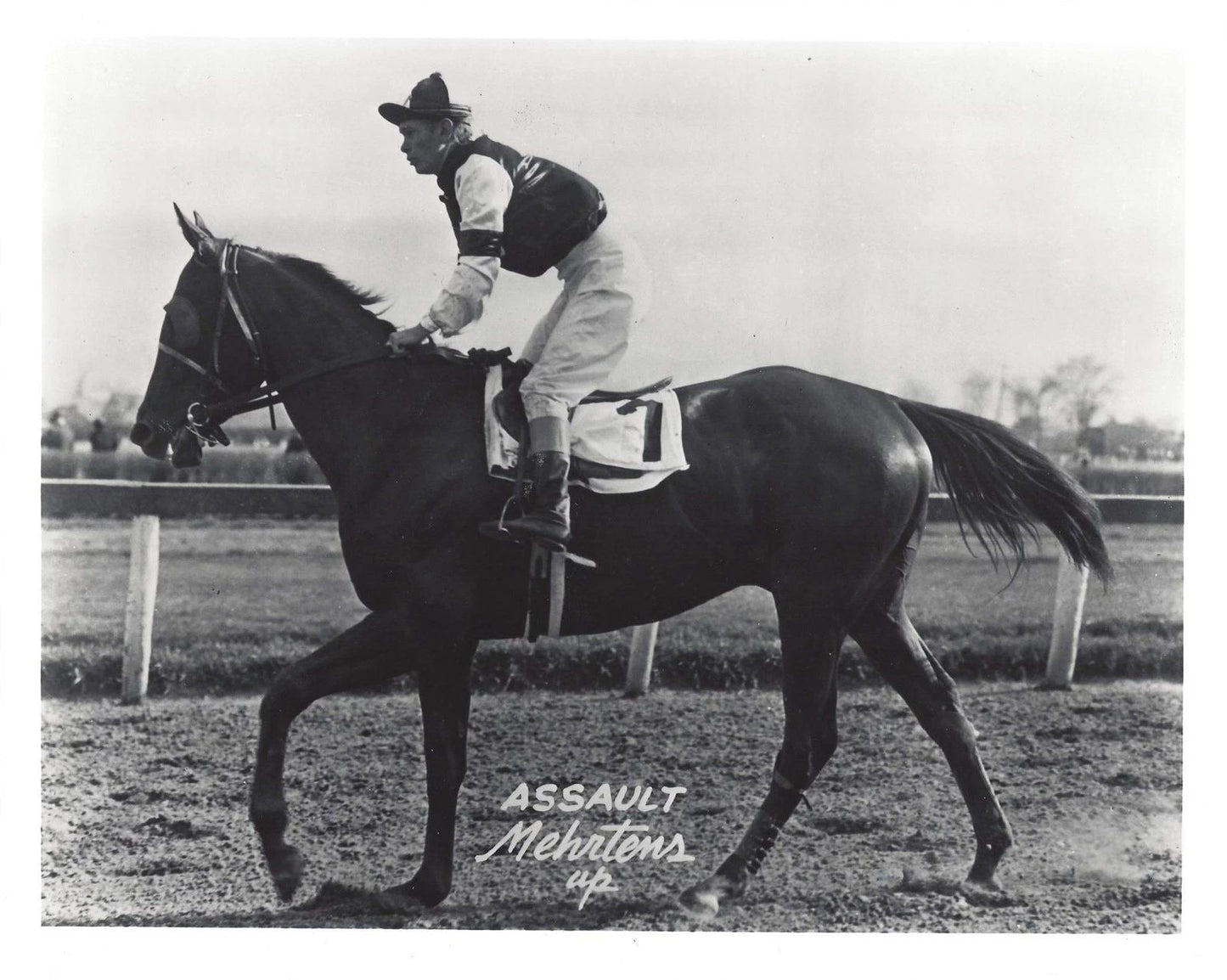 Assault Photo Horse Racing Jockey Warren Mehrtens 300 Piece Jigsaw Puzzle