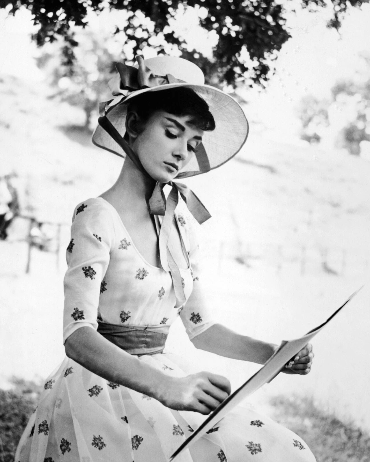 Audrey Hepburn Photo Picture Movies Actress Bw