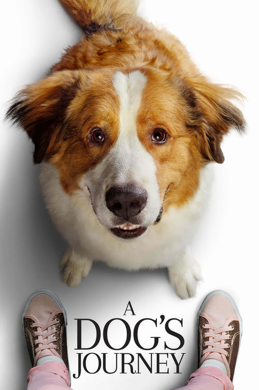 A Dog S Journey (2019) Movie Magnet