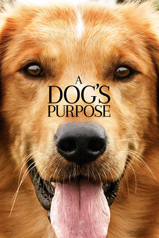 A Dog S Purpose (2017) Movie Poster