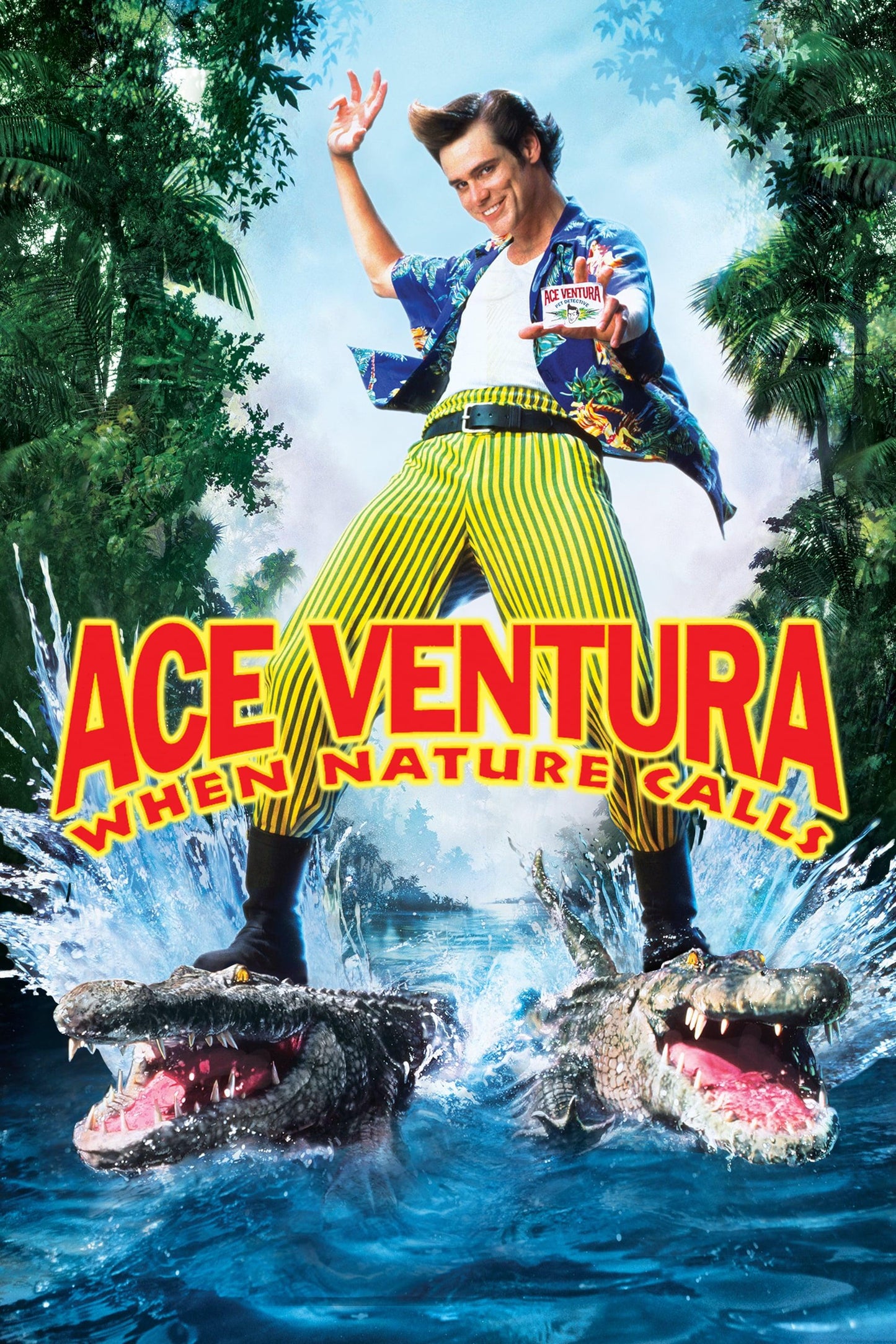 Ace Ventura When Nature Calls (1995) Movie Poster