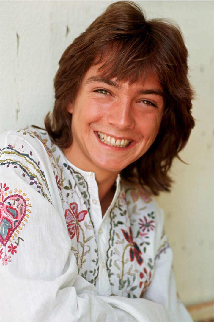 Actor David Cassidy Smiling American Singer Jigsaw Puzzle