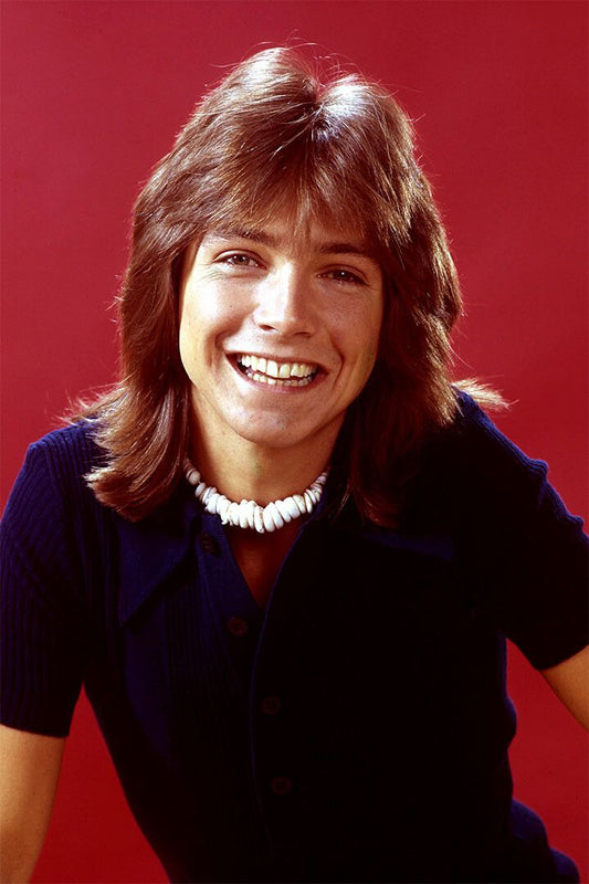 Actor David Cassidy Smiling Singer Songwriter Jigsaw Puzzle