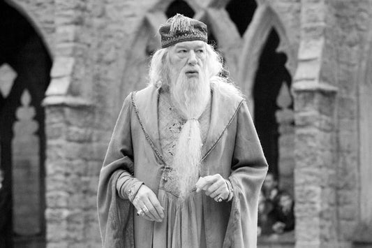 Actor Michael Gambon As Dumbledore Classic Picture Poster Photo