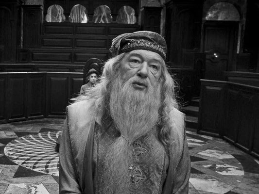 Actor Michael Gambon As Dumbledore Classic Picture Magnet Magnet Print
