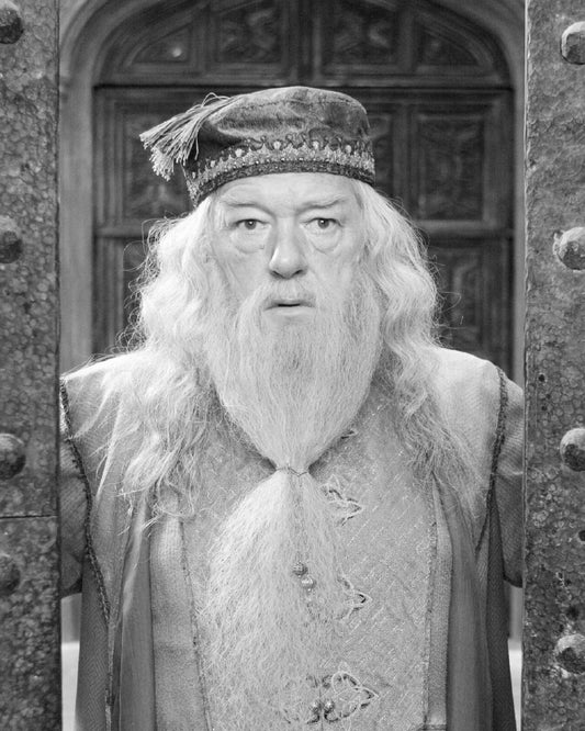 Actor Michael Gambon As Dumbledore Picture Keychain Keychain