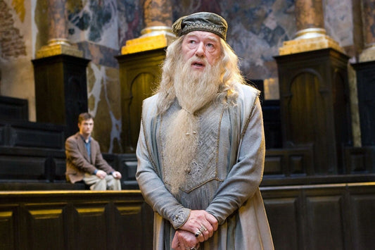 Actor Michael Gambon As Wizard Dumbledore Picture Keychain Keychain 6X8