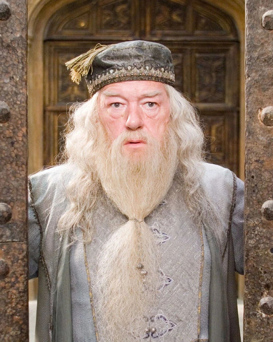Actor Michael Gambon As Wizard Dumbledore Picture Magnet Magnet Print