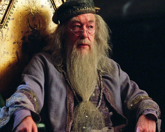 Actor Michael Gambon Is Wizard Dumbledore Picture Magnet Magnet 6X8