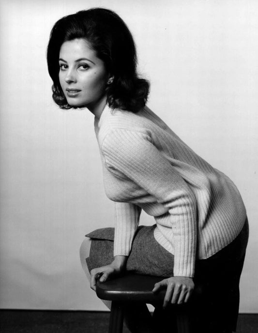Actress Barbara Parkins Classic Publicity Picture Keychain Keychain