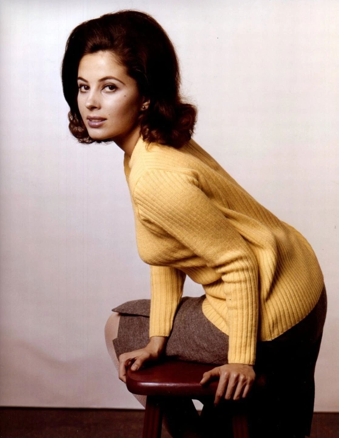 Actress Barbara Parkins Retro Publicity Picture Poster Photo Print