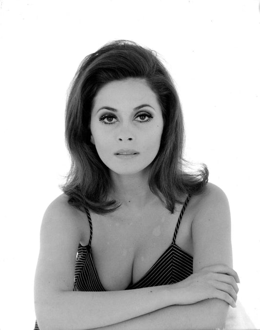 Actress Barbara Parkins Vintage Publicity Picture Poster Photo Print
