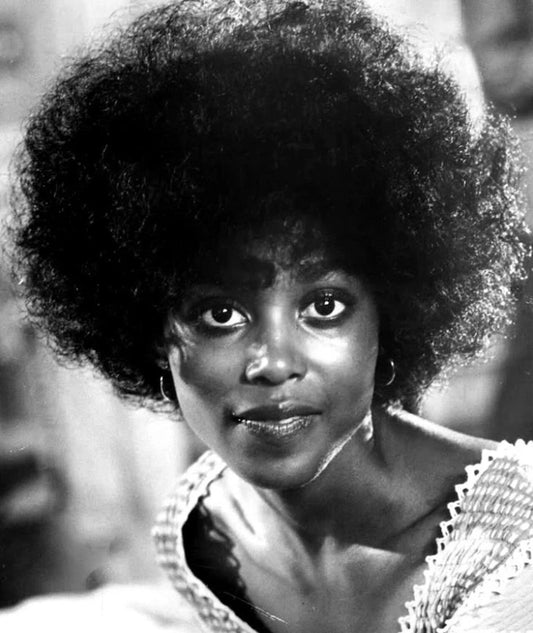 Actress Brenda Sykes Classic Pin Up Publicity Picture Magnet Print