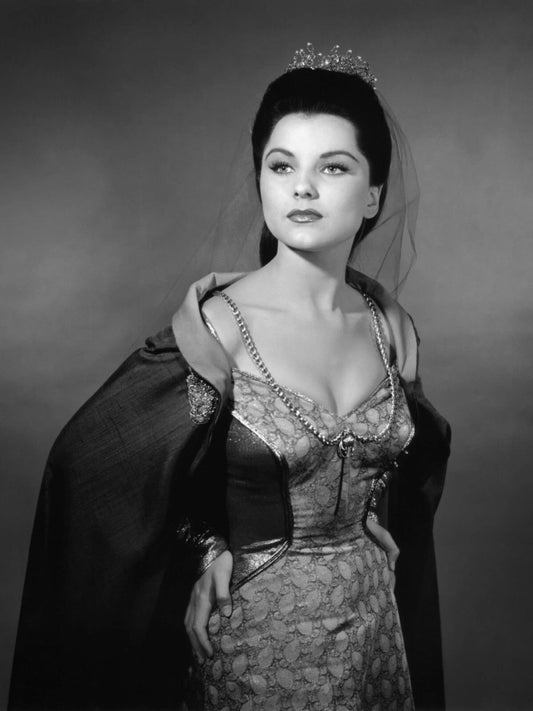 Actress Debra Paget Pin Up Picture Poster Publicity Photo Print