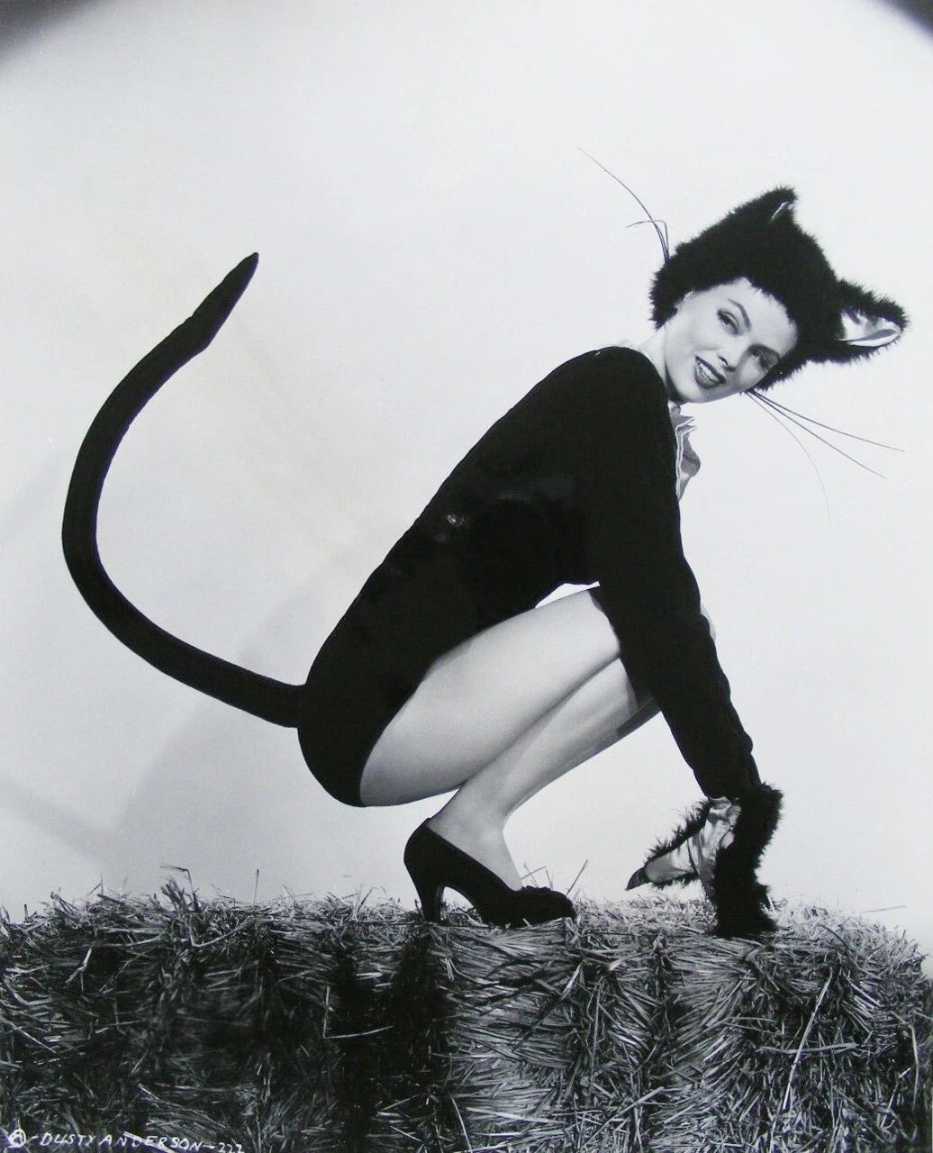 Actress Dusty Anderson Classic Halloween Cat Picture Poster Photo Print