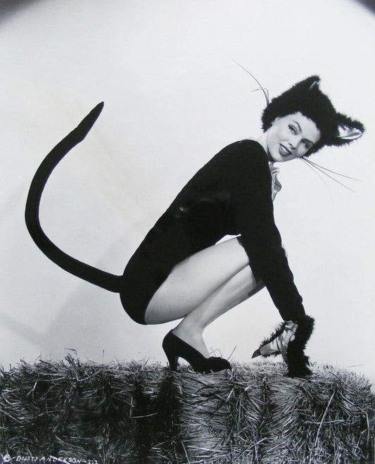 Actress Dusty Anderson Classic Halloween Cat Picture Poster Photo Print