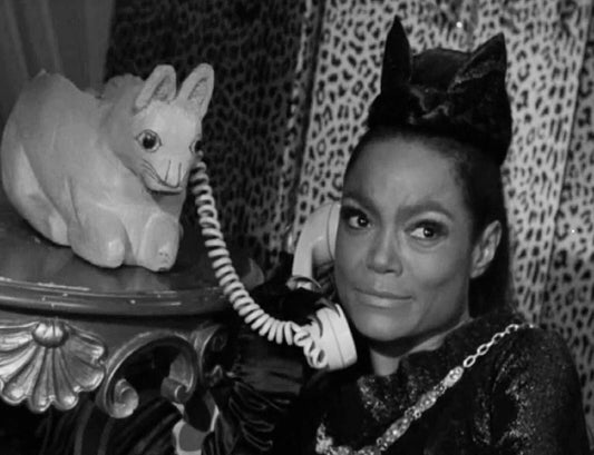 Actress Eartha Kitt As Catwoman In Batman Tv Show Picture Magnet Print