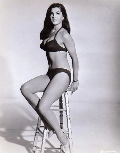 Actress Edy Williams Vintage Pin Up Picture Magnet Magnet Print